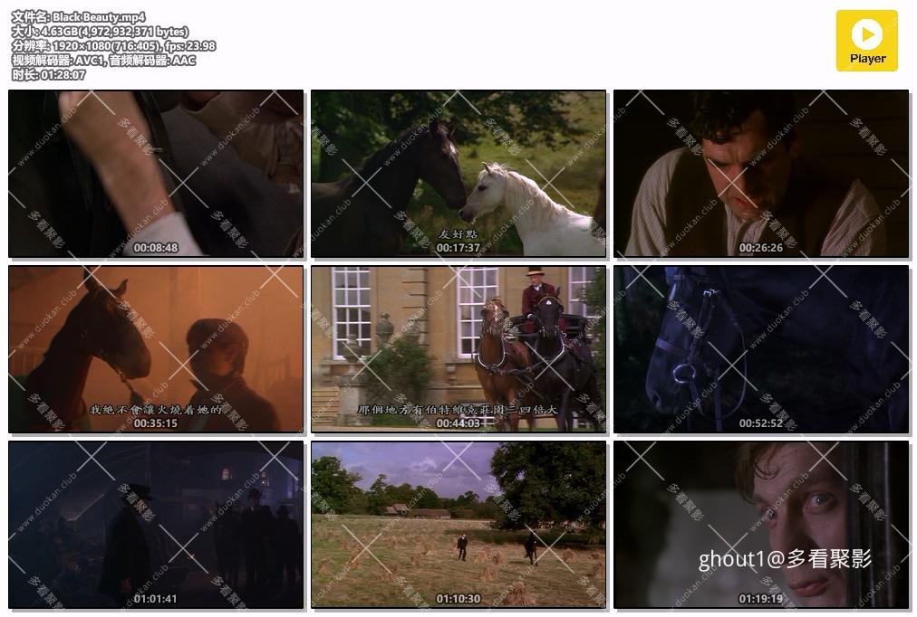 Black Beauty.mp4.jpg