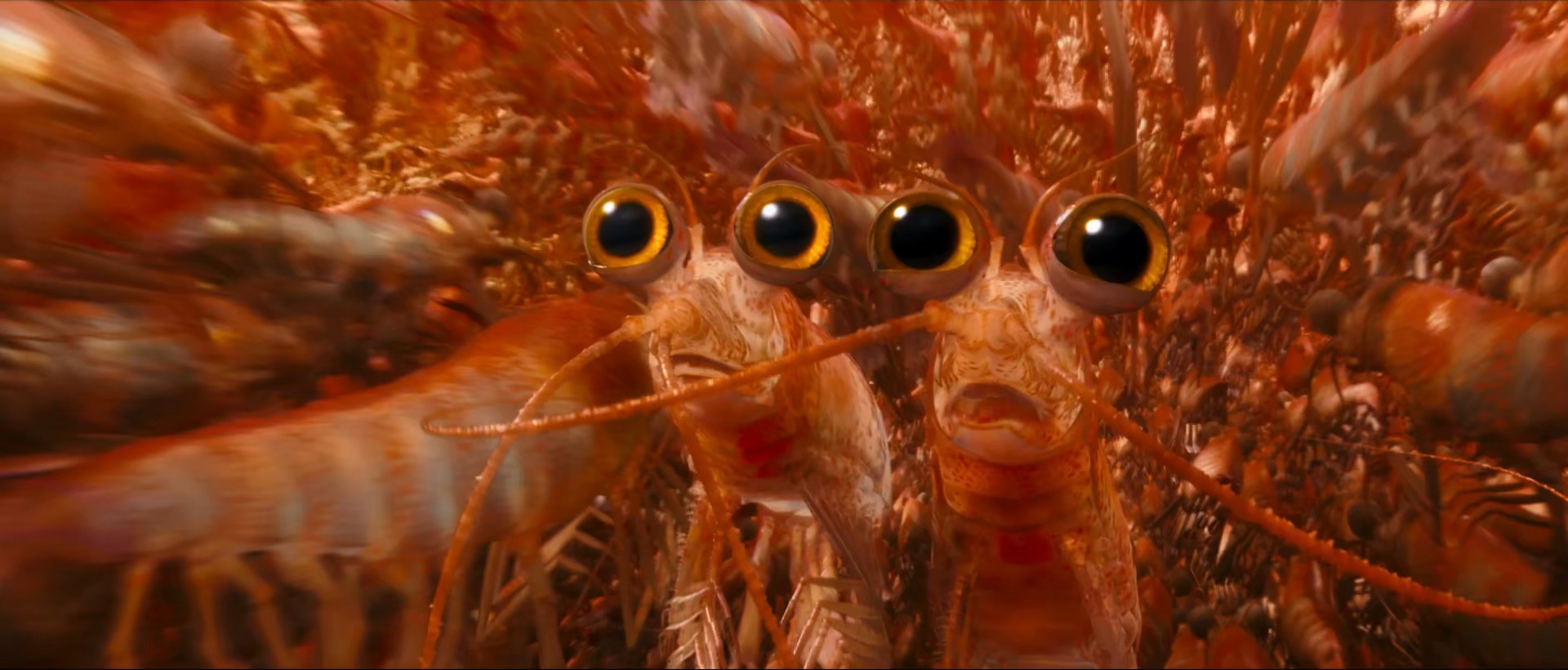 2011 快乐的大脚2 Happy Feet Two .mkv_20260316_173144.403.jpg