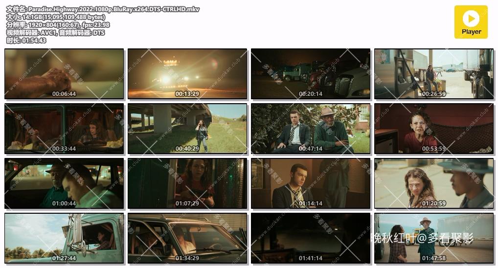 Paradise.Highway.2022.1080p.BluRay.x264.DTS-CTRLHD.mkv.jpg