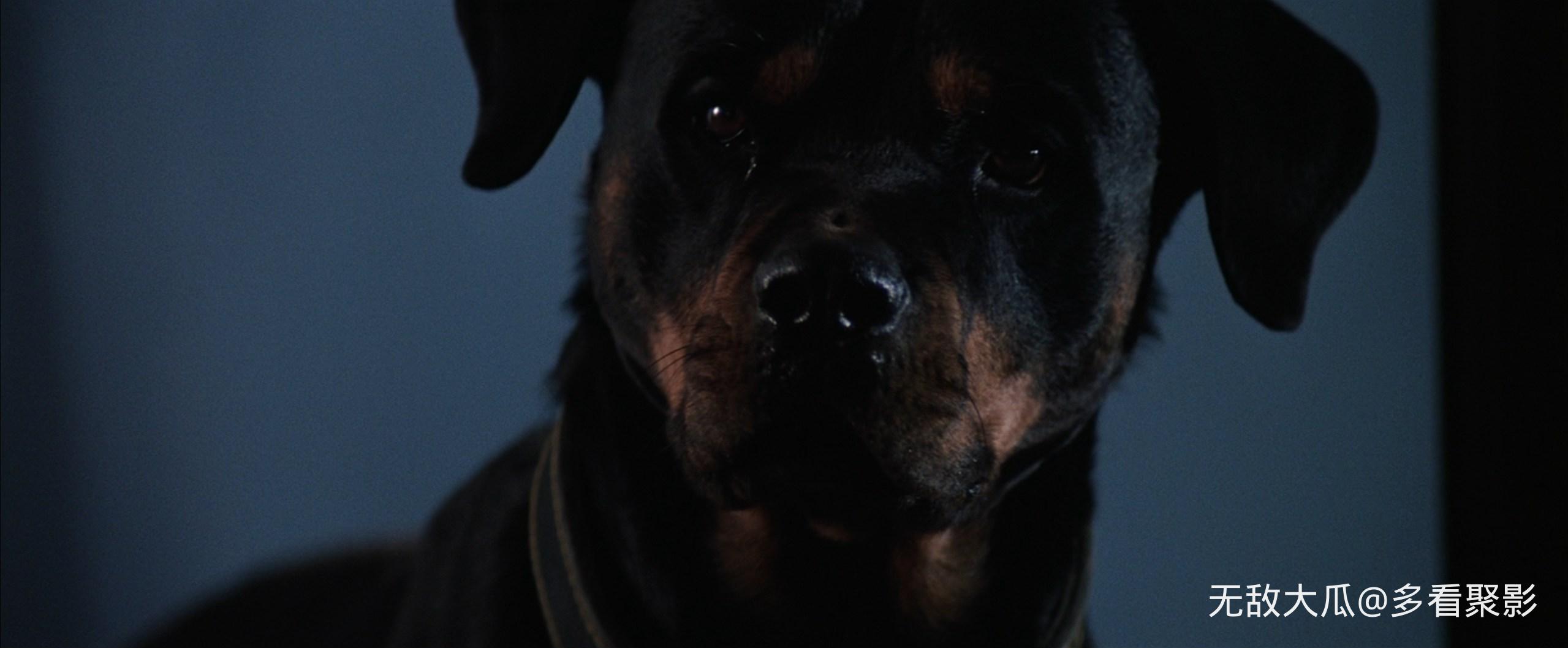 屏幕截图 2026-03-22 171037.jpg