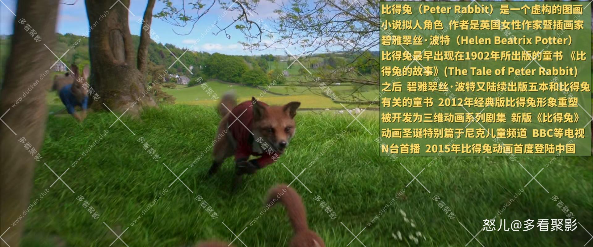 比得兔.Peter.Rabbit.2018.1080p.10Bit.BluRay,HEVC.x265.2audio.DSyS特效字幕.mkv_20.jpg