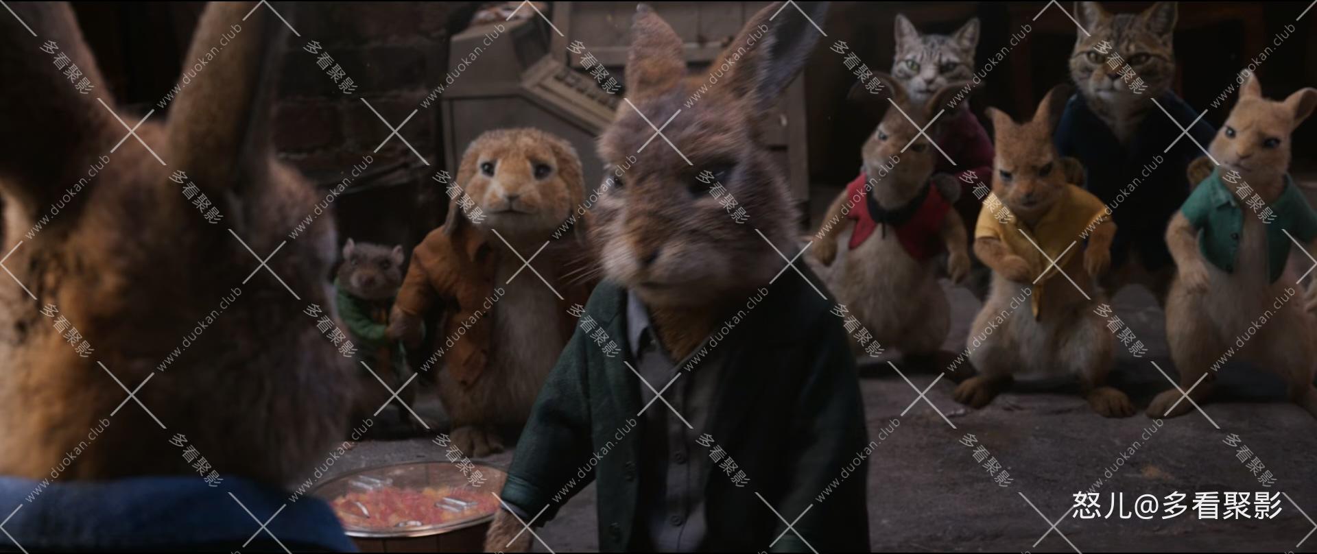 比得兔2：逃跑计划.Peter.Rabbit.2.The.Runaway.2021.1080p.10Bit.BluRay,HEVC.x265.2.jpg