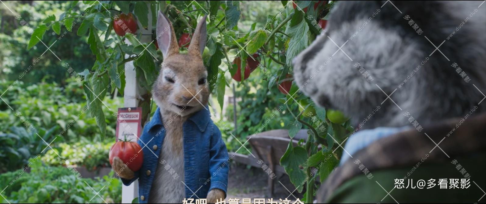 比得兔2：逃跑计划.Peter.Rabbit.2.The.Runaway.2021.1080p.10Bit.BluRay,HEVC.x265.2.jpg