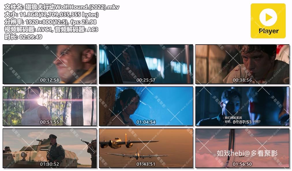 猎狼犬行动Wolf.Hound.(2022).mkv.jpg