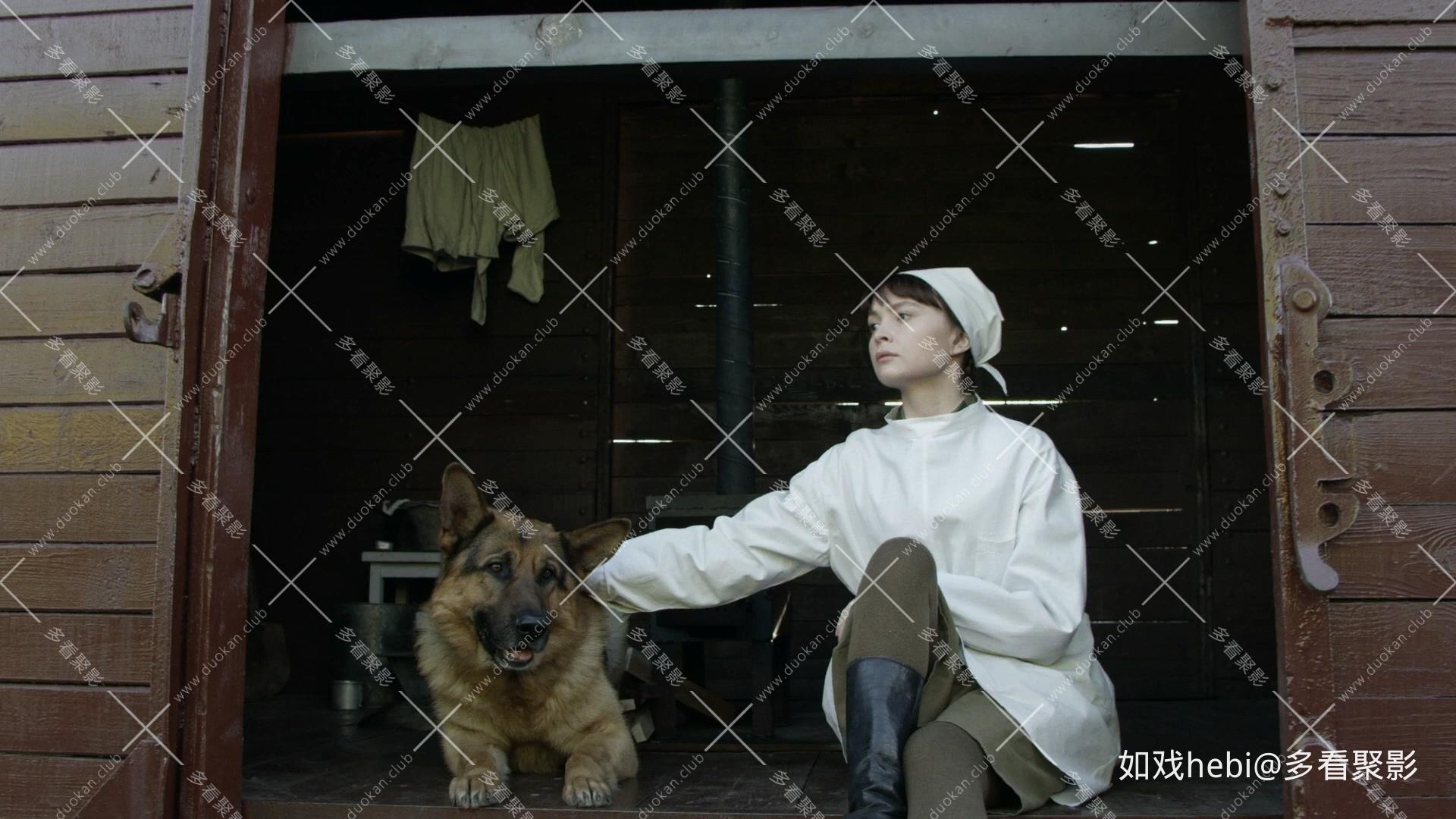 红色战犬Pyos Ryzhiy(2016).mkv_20260409_225347.238.jpg