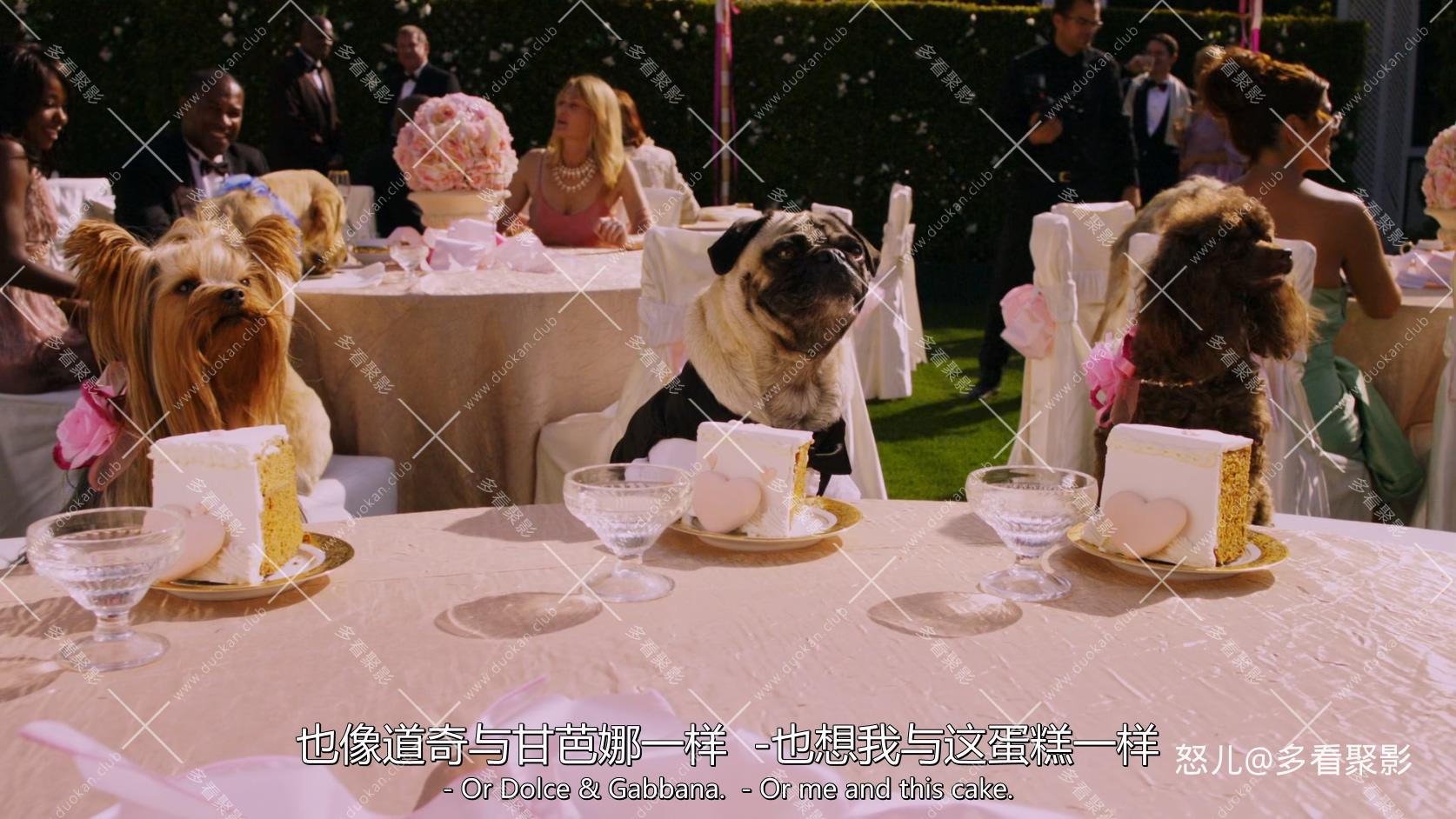 比佛利拜金狗2.Beverly.Hills.Chihuahua.2.2011.1080p.BluRay.x265.2audio-RARBG.mkv_.jpg