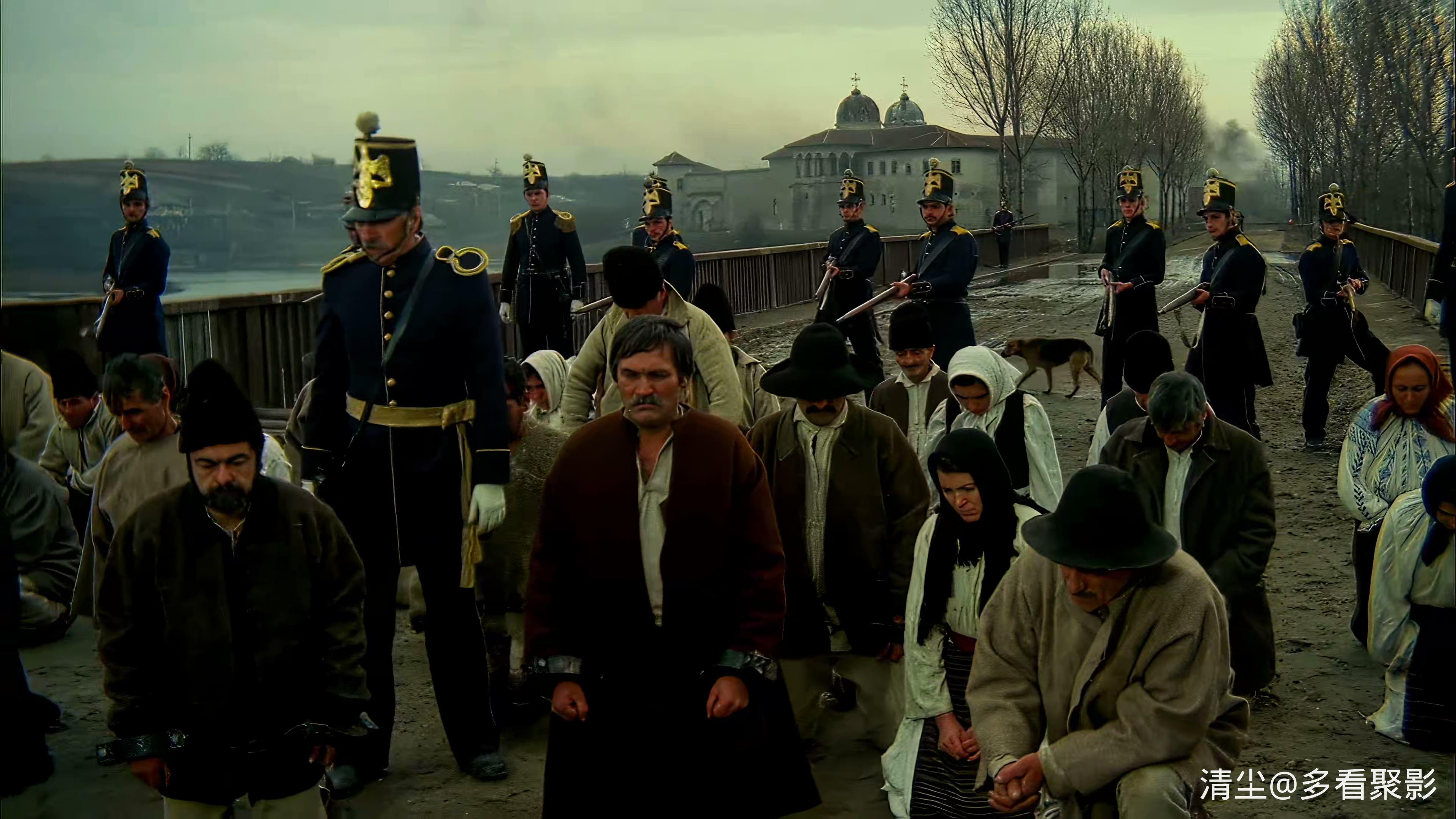 1982 黄玫瑰 Trandafirul galben.mp4_20260419_160725.831.jpg