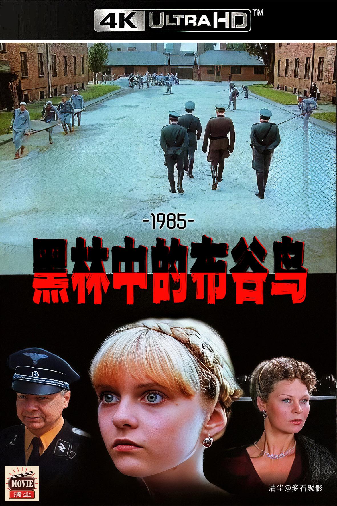 版面图.jpg