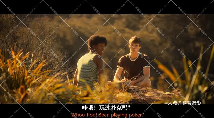 5.webp