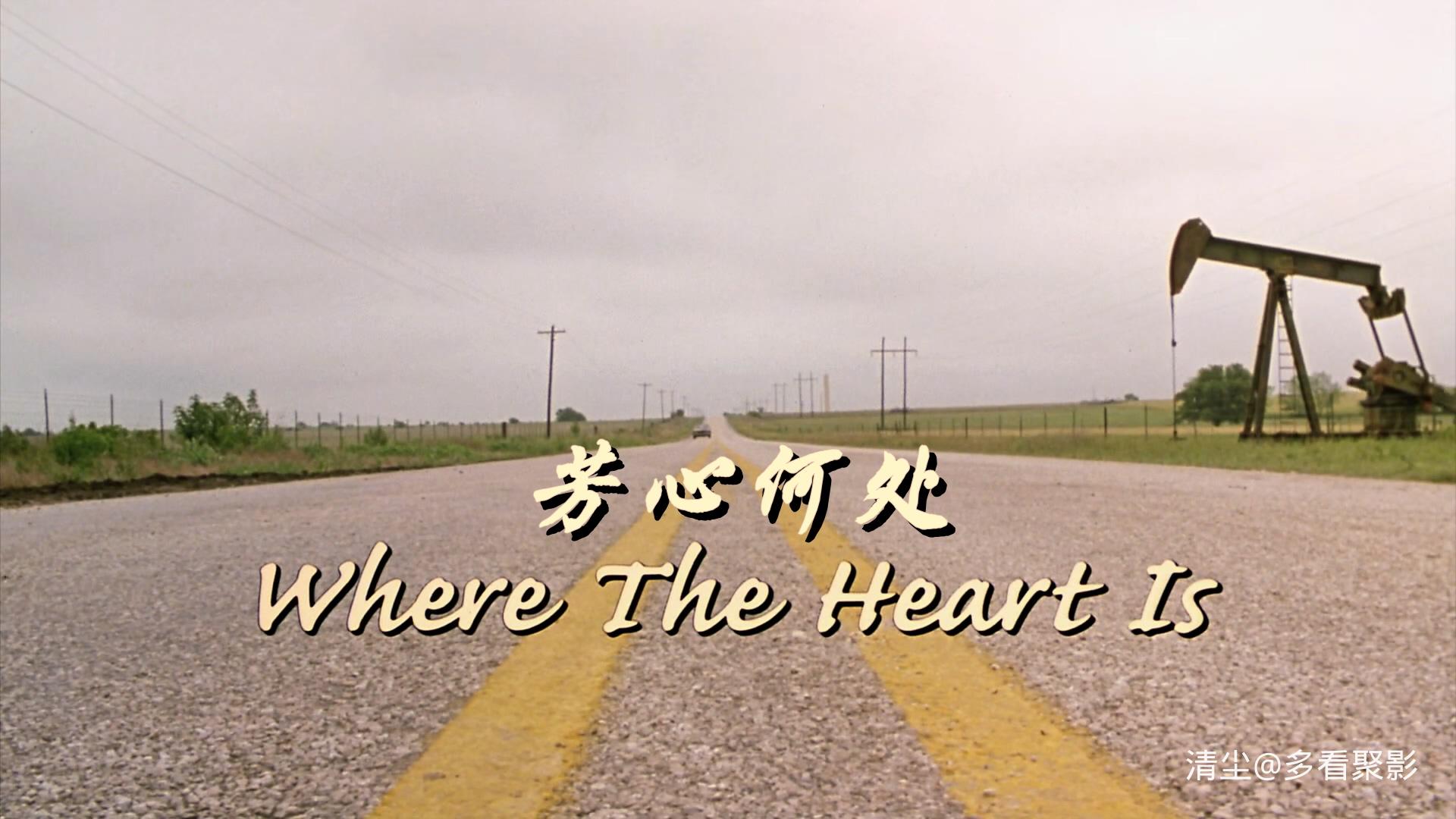 2000 芳心何处 Where the Heart Is.mkv_20260804_180340.629.jpg
