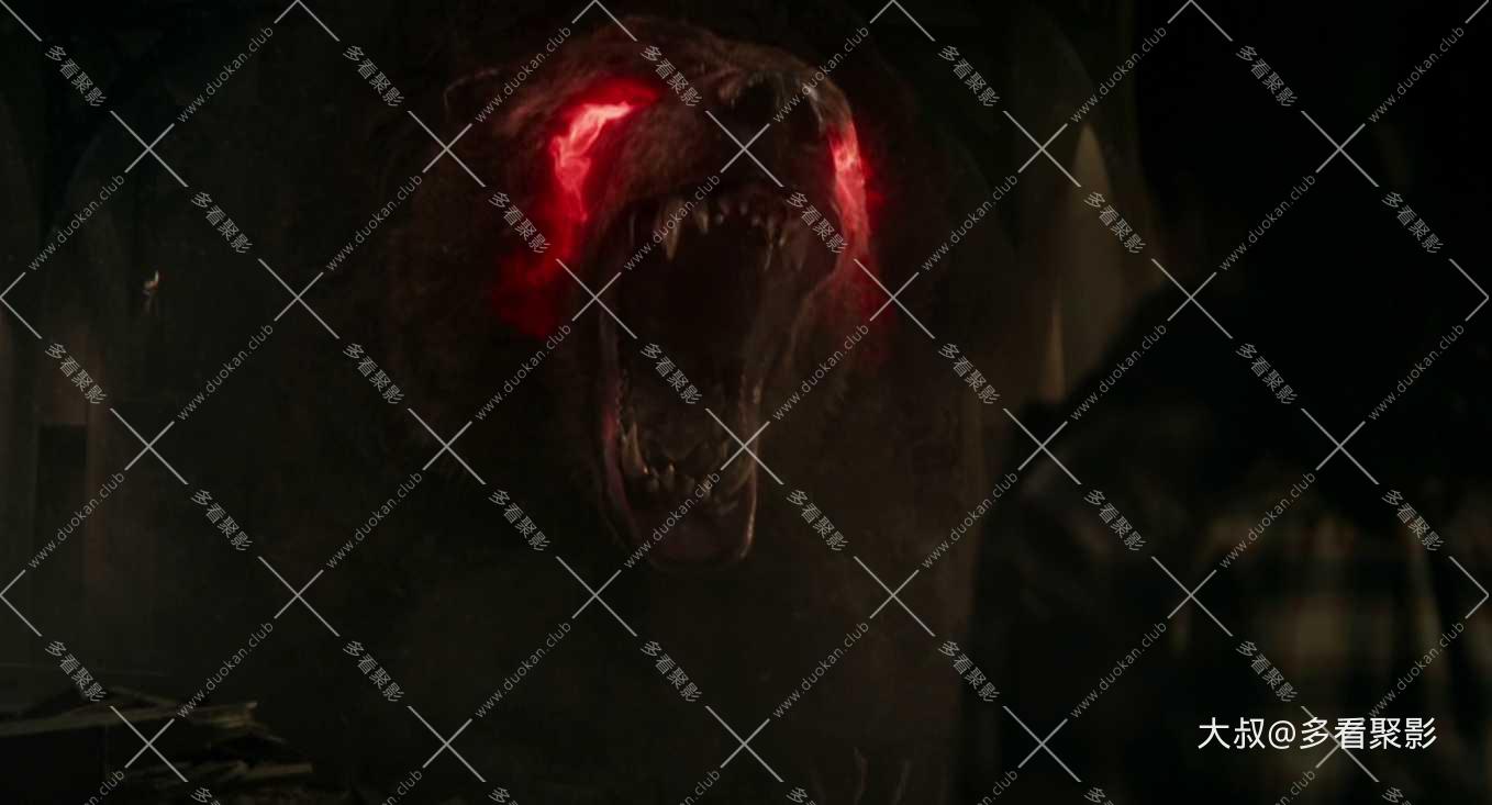 1 (8)_metool.jpg