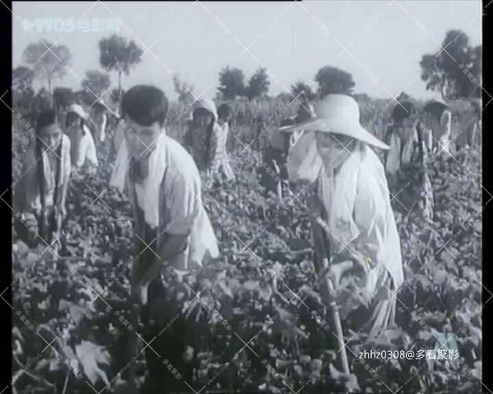 妈妈要我出嫁.mp4_20260812_125104466.jpg