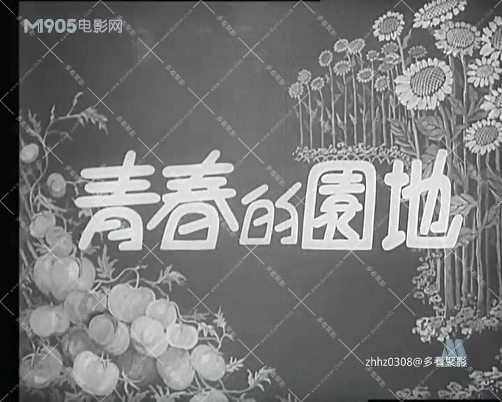 青春的园地.mp4_20260818_160650.842.jpg
