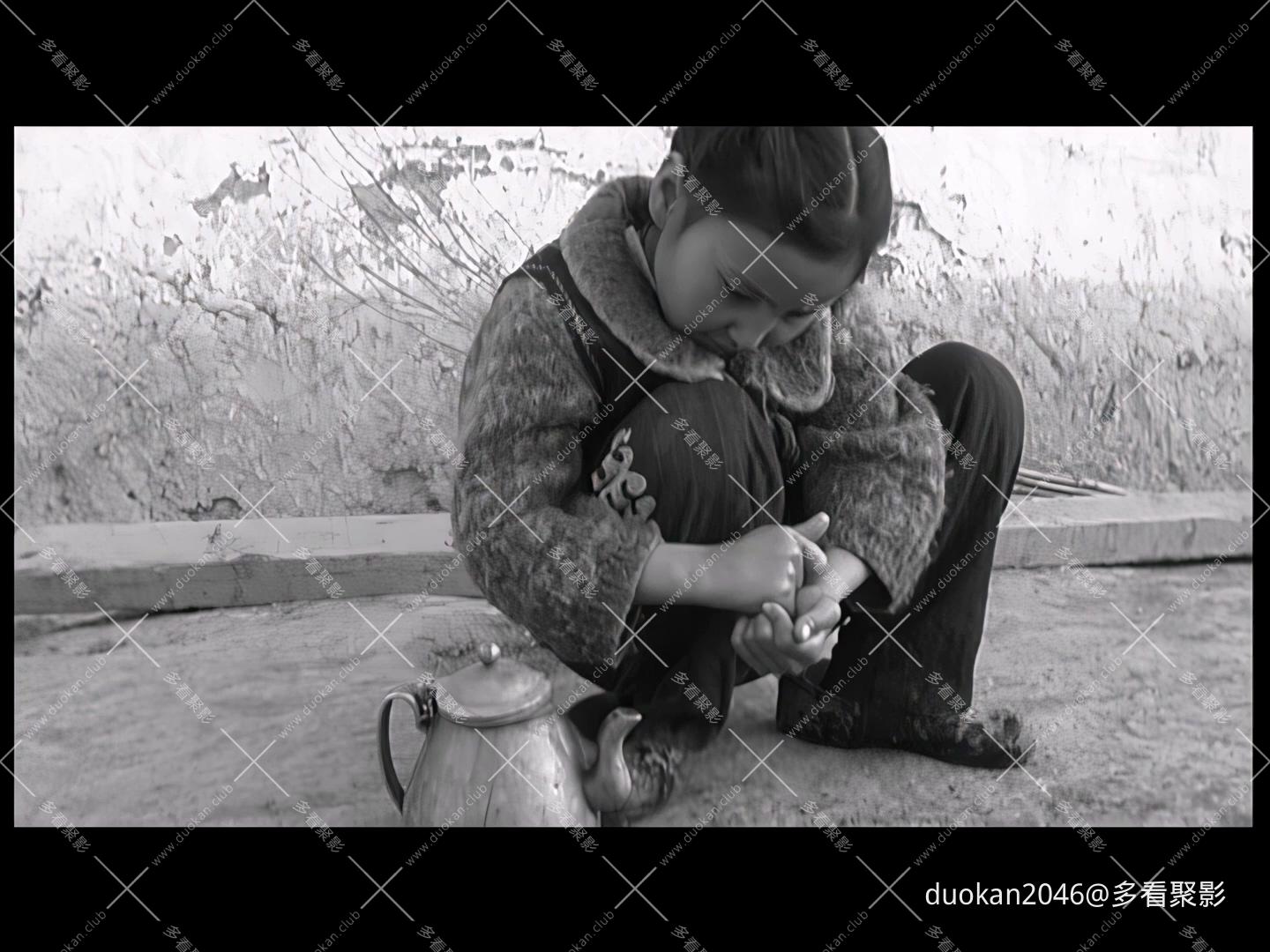 真实电影节——雪落伊犁高清版.mp4_20260819_151555.912.jpg