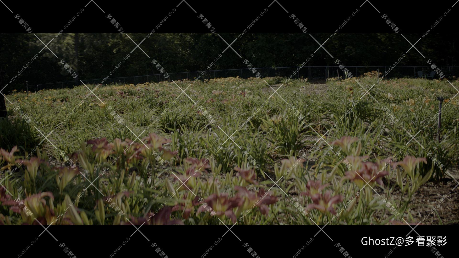 骡子 (2018) [tmdb=504172].mkv_000033.186.jpg