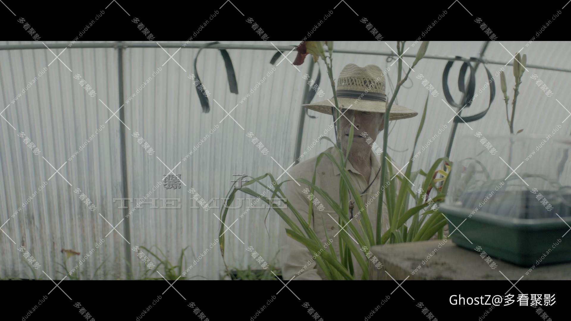 骡子 (2018) [tmdb=504172].mkv_000116.176.jpg