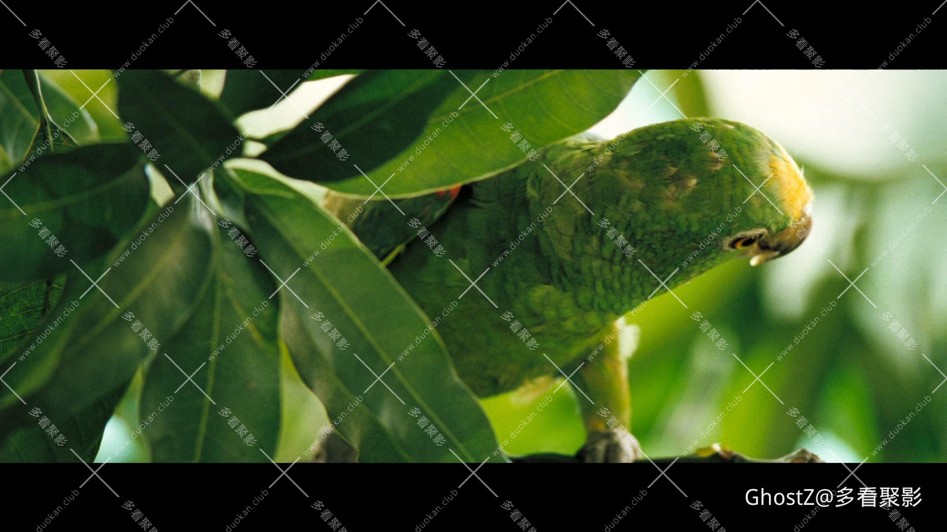 霍乱时期的爱情 (2007).mkv_000104.696.jpg