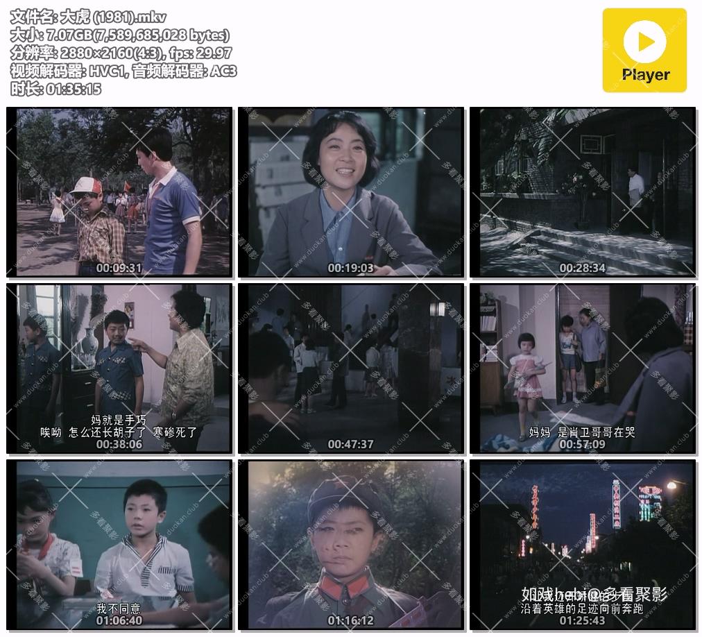 大虎 (1981).mkv.jpg