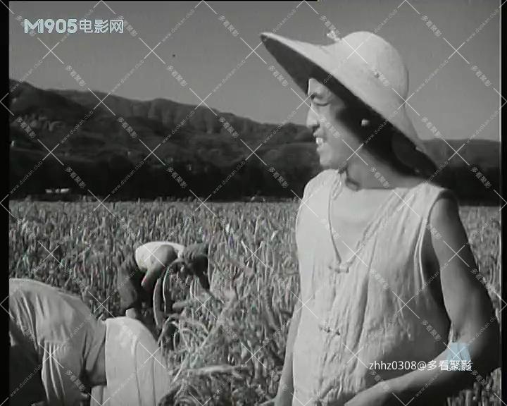 金铃传.mp4_20260821_202812.360.jpg