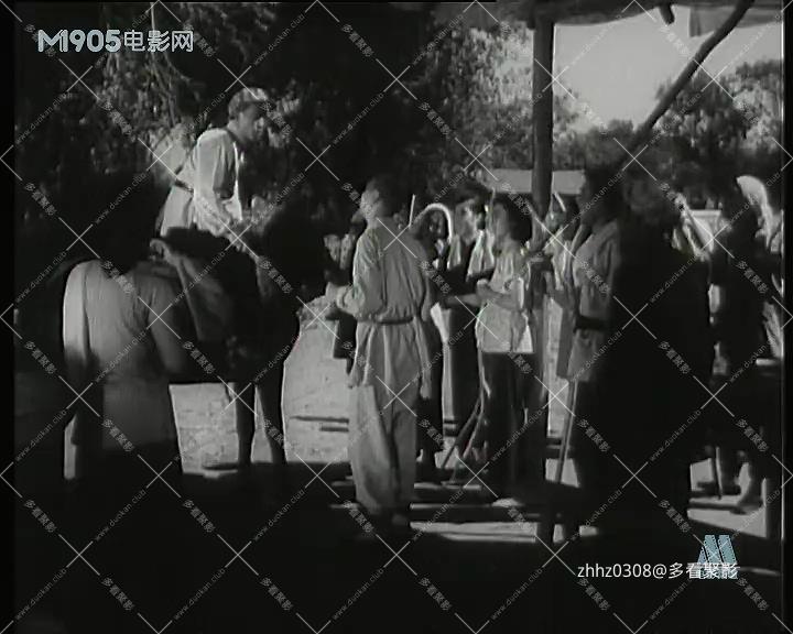 金铃传.mp4_20260821_202815.884.jpg