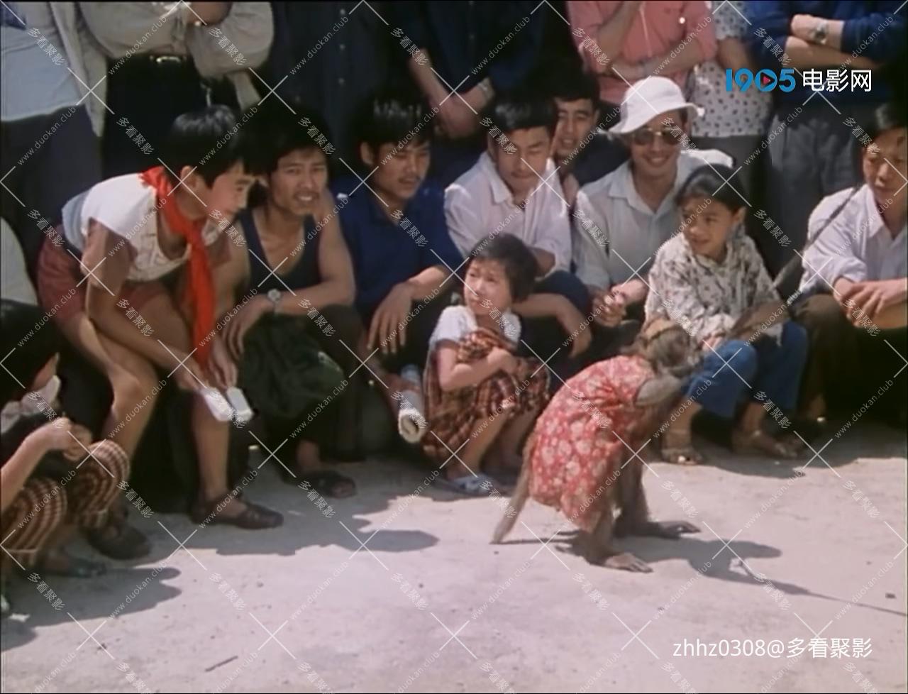 四个小伙伴.mp4_20260822_163135.887.jpg