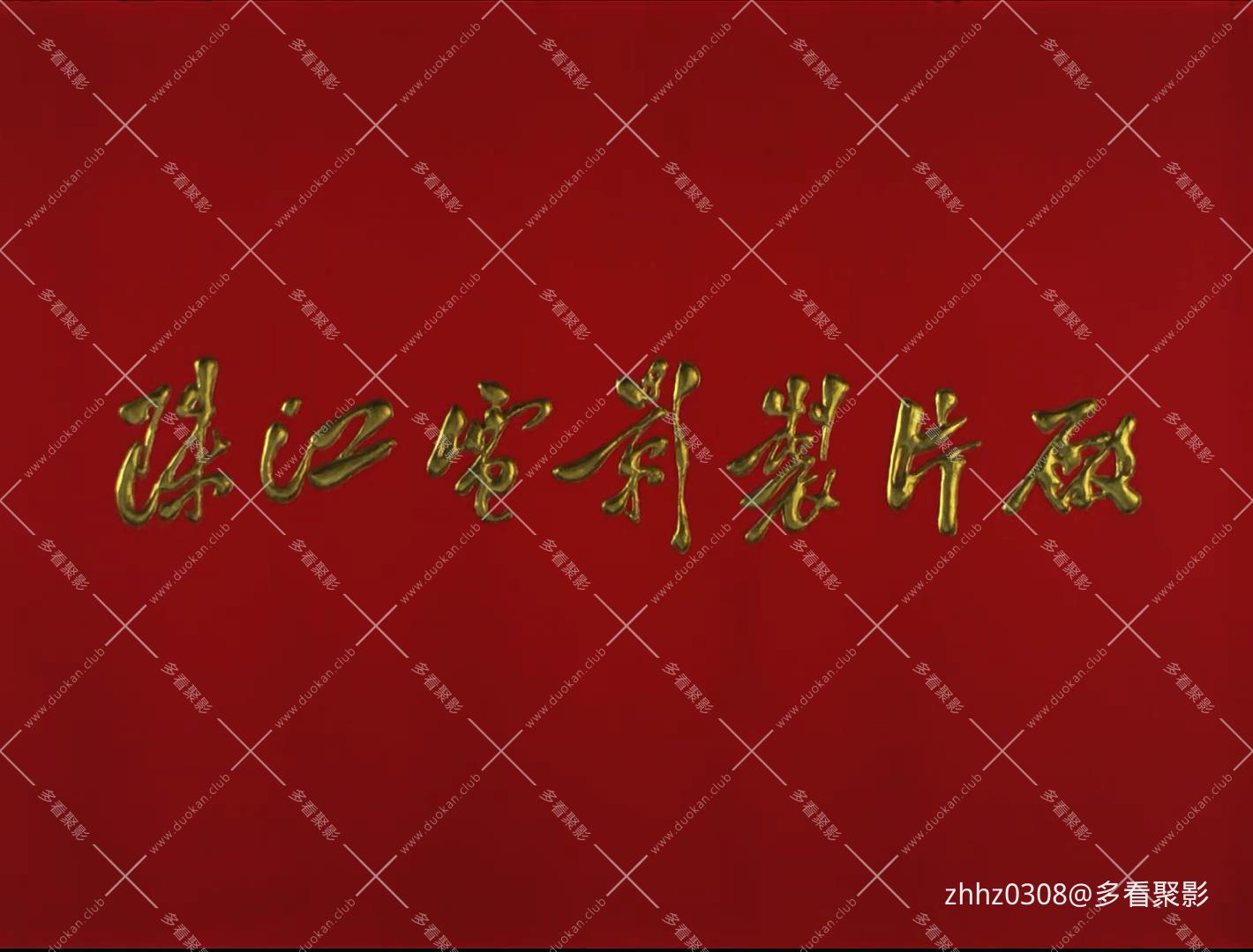 山菊花1982.mp4_20260823_122701.606.jpg