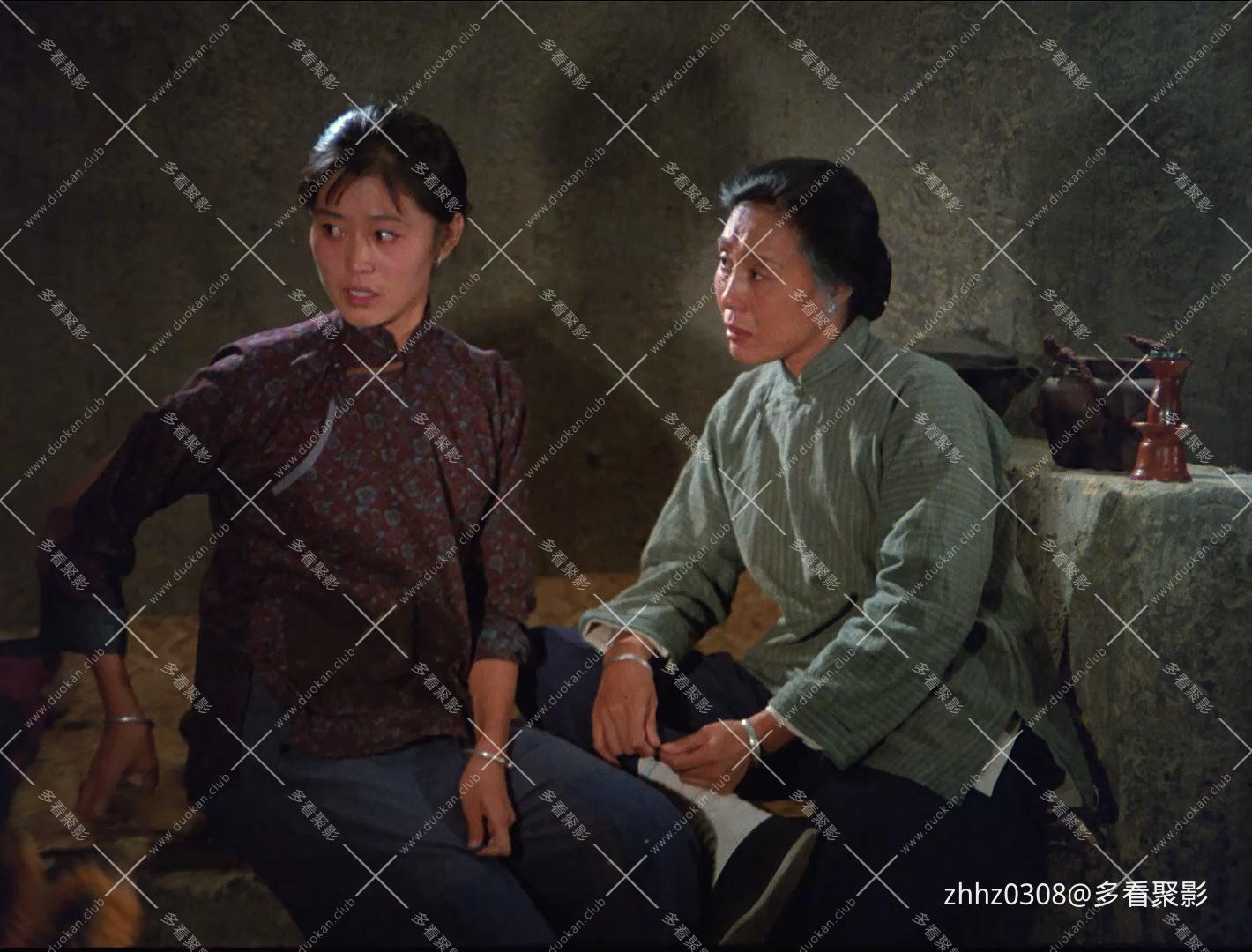 山菊花1982.mp4_20260823_122821.353.jpg