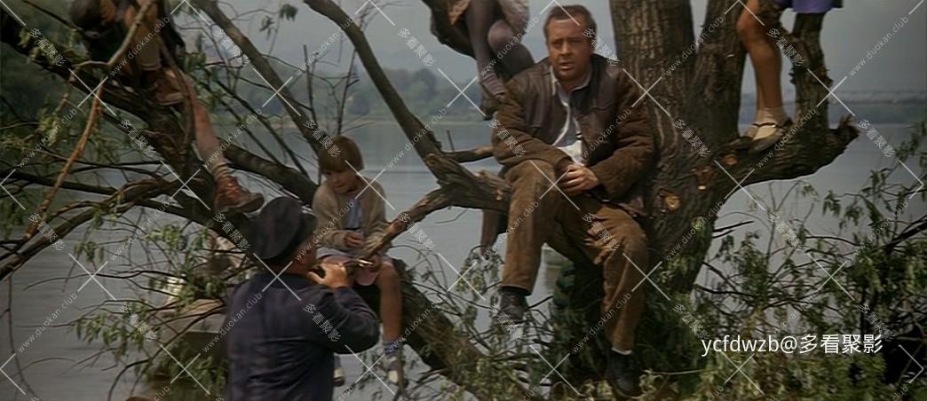 p2595558086.jpg