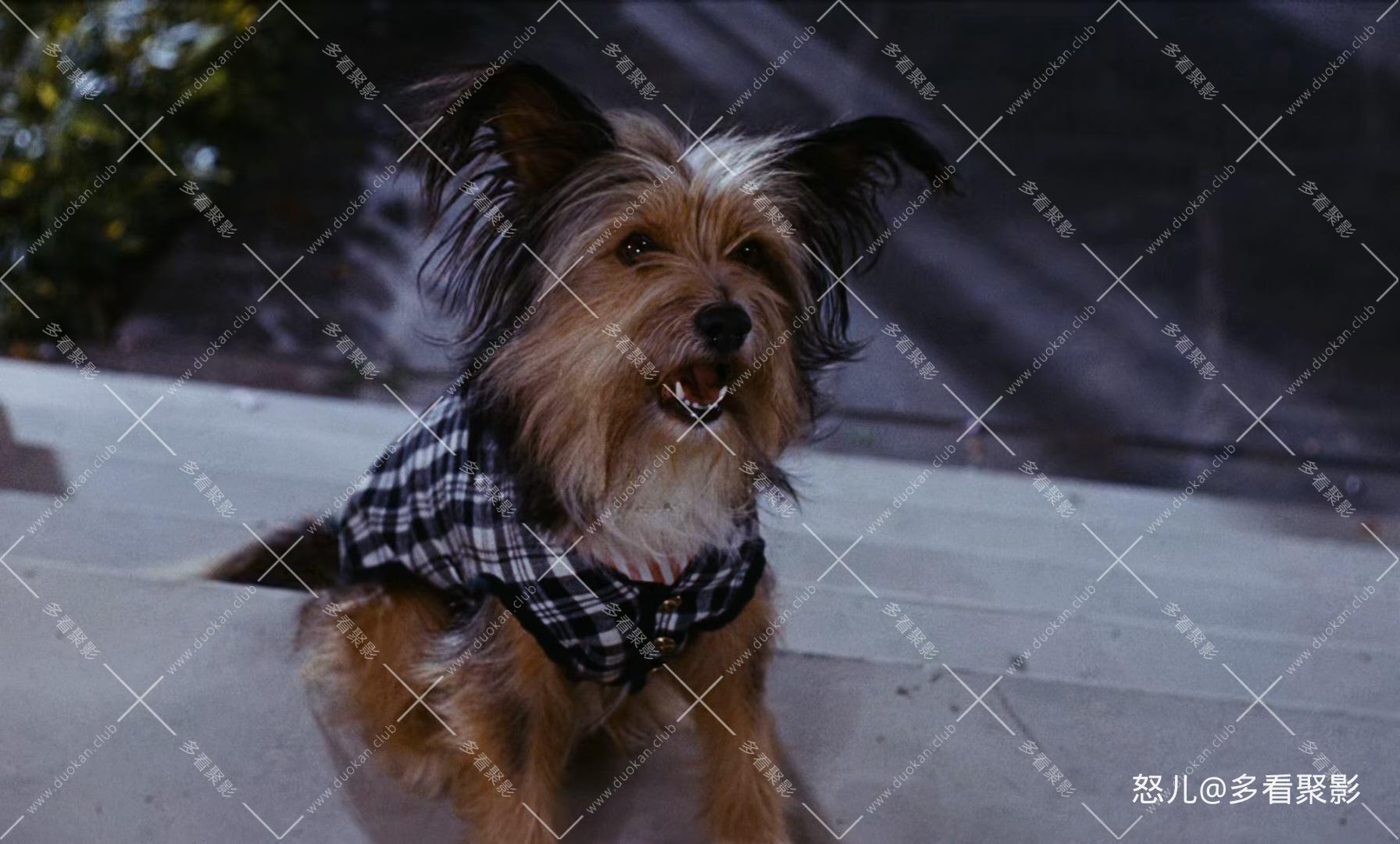 欢乐满人间.Mary.Poppins.1964.1080p.BluRay.x265.2audio-RARBG特效字幕.mkv_20260826.jpg