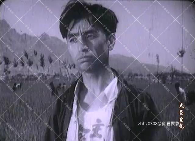 她爱上了故乡 (1958).mkv_20260830_135641.870.jpg