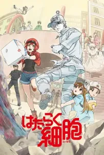 [夸克/123/UC]工作细胞.はたらく細胞.2018.HDRip.1080P.台配繁中[木棉花重配版][小公视][共13集][10G]