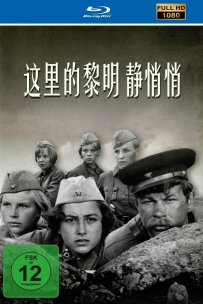 这里的黎明静悄悄1972.国语无字1080 5.43G.MP4.115