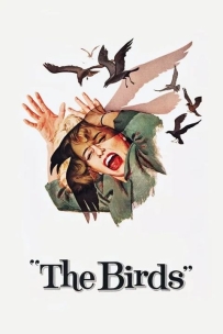 【希区柯克系列17】群鸟 又名: 鸟 / Alfred Hitchcock's The Birds /The Birds (1963).国语版