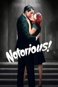 【希区柯克系列12】美人计 又名: 谍网情鸳(港) / 声名狼藉 / Notorious (1946).国语版