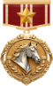 马年纪念勋章